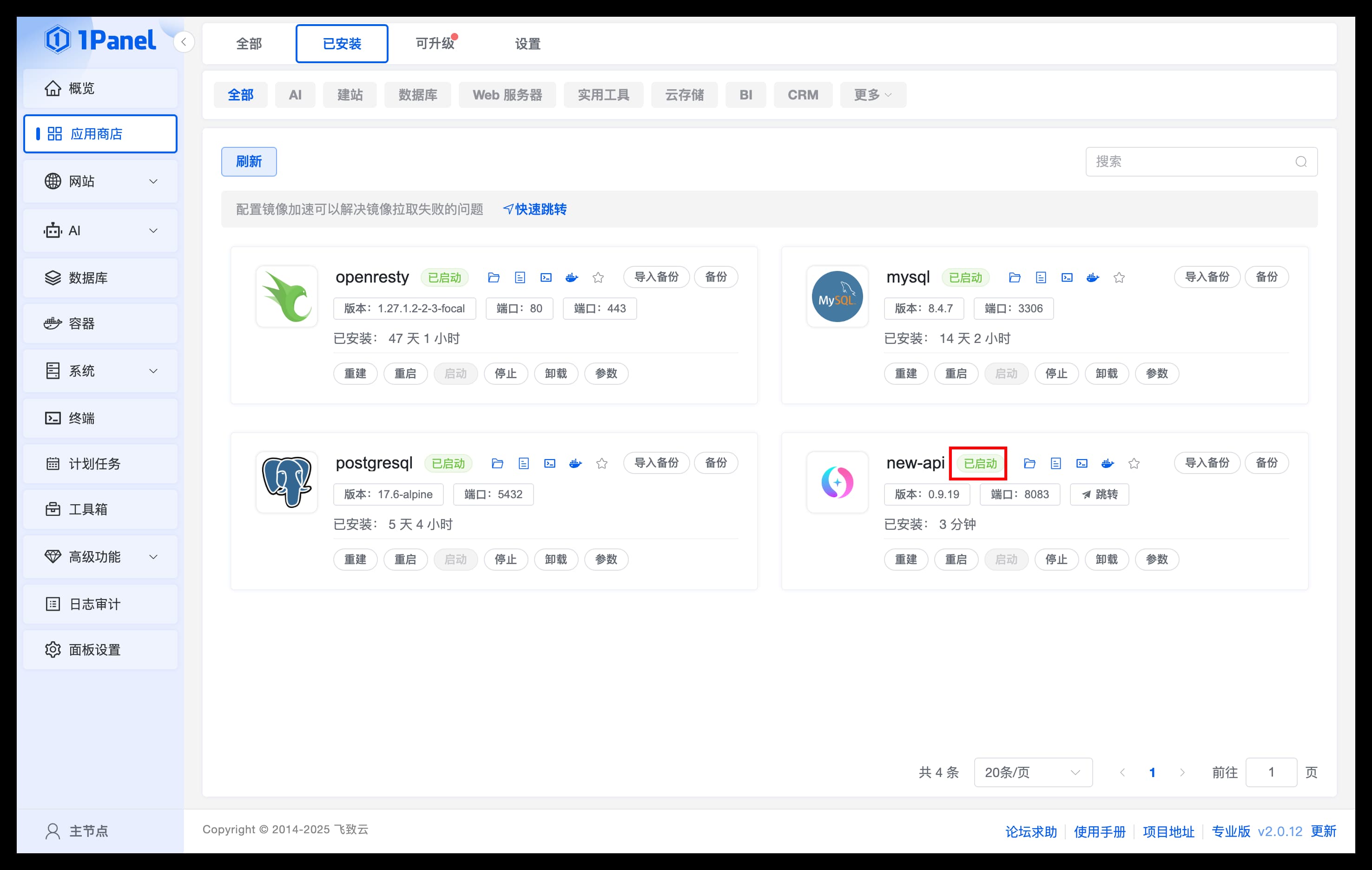 1Panel 中 New API 已启动