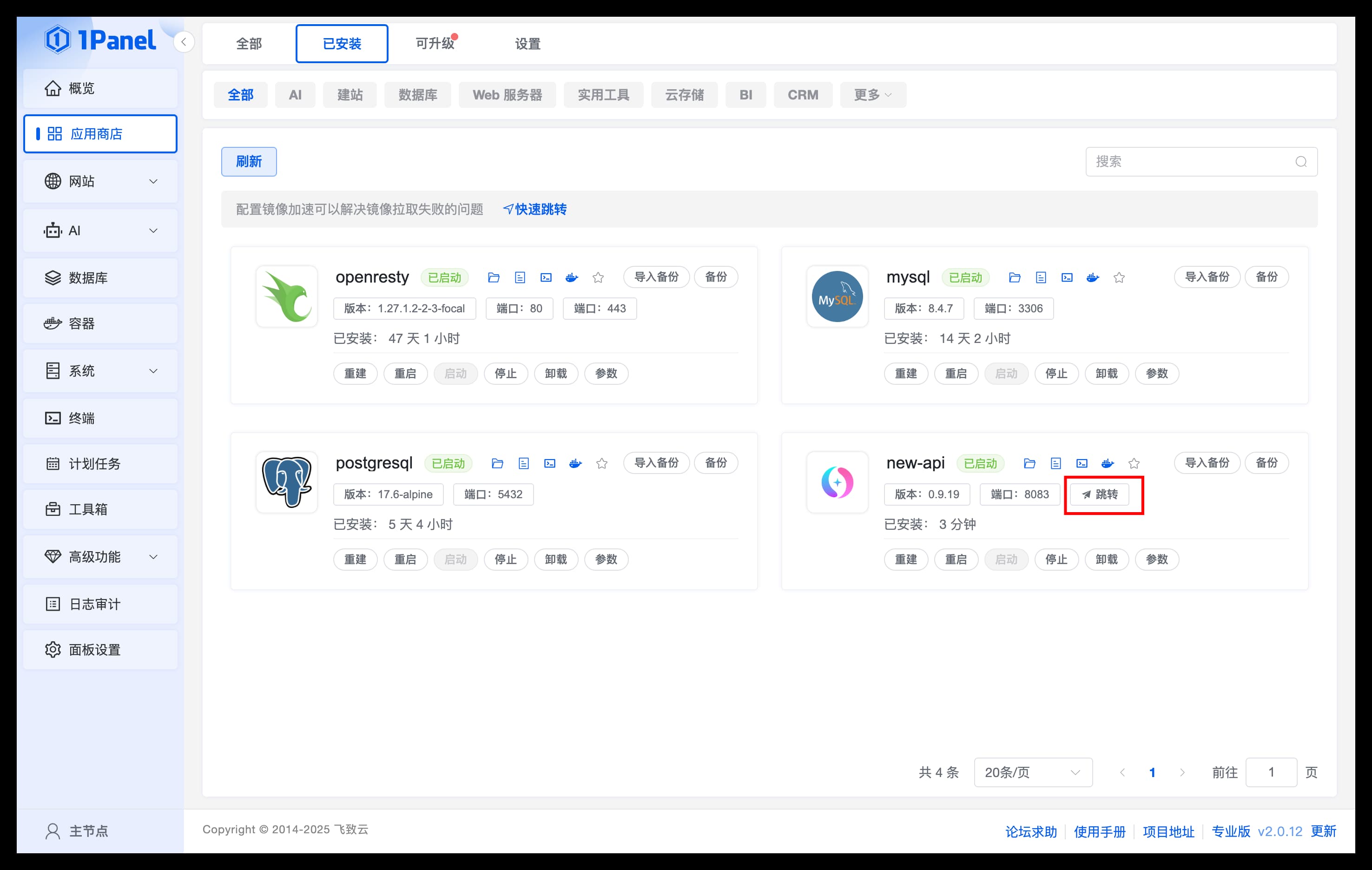 1Panel 跳转访问 New API